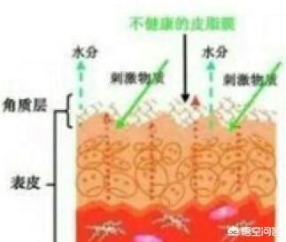 如何保养眼部皮肤(如何保养身体皮肤)