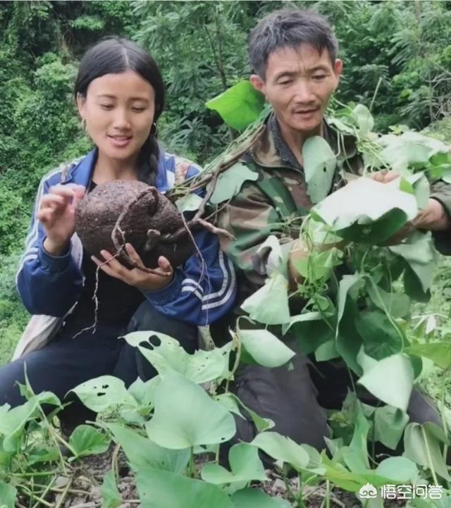 在农村除了打零赚钱,还有哪些无本生意可做,可以发家致富啊？