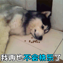 哈士奇图片搞笑:二哈有哪些搞笑的图片表情？