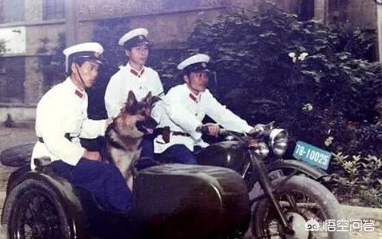 东北二王事件:俗话说“东北虎，保定狼”，这其中有什么典故吗