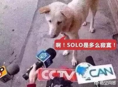 母胎solo:母胎solo且毫无暧昧对象是一种什么体验？