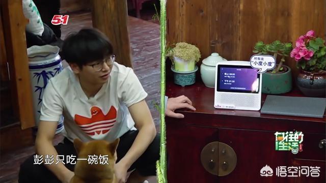 彭昱畅体重:如何看待彭昱畅在《向往的生活》中的忽胖忽瘦