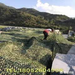 微信忧伤图片:微信图片打不开怎么回事 微信图片打