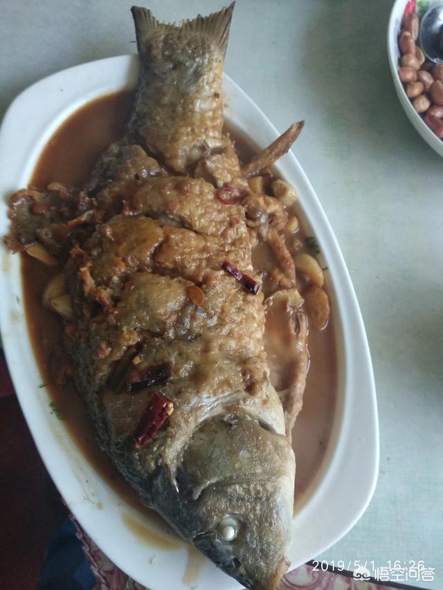 软骨鲫鱼:怎么做红烧无刺鲫鱼不掉皮不粘锅？