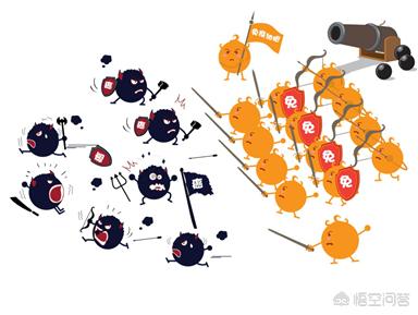 人副流感病毒阳性:感染了高危型HPV病毒，并且检查两个都是阳性该怎么办？
