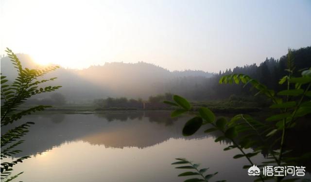 风靡<a href=https://maguai.com/list/256-0-0.html target=_blank class=infotextkey><a href=https://maguai.com/list/256-0-0.html target=_blank class=infotextkey>朋友圈</a></a>的小瓶子:<a href=https://maguai.com/list/256-0-0.html target=_blank class=infotextkey><a href=https://maguai.com/list/256-0-0.html target=_blank class=infotextkey>朋友圈</a></a>到底是个什么地方？