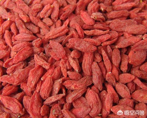 每天1杯枸杞水坚持15天，身体会有怎样的变化？