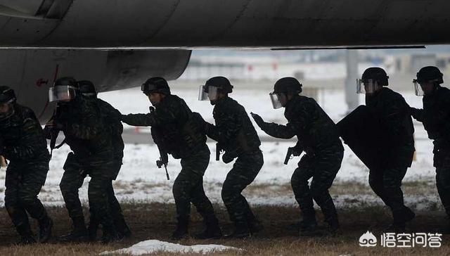 武警、特警和特种部队有什么区别？什么情况出动武警、特警和特种部队？插图67