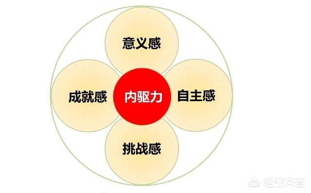 如何激发内驱力,让孩子主动学习?-惠修网