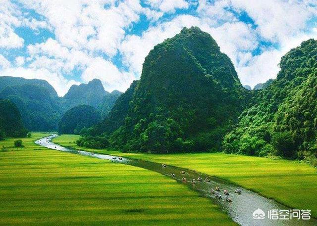 绝育手术:为什么要给狗狗做节育手术？在狗狗的心理上造成的压力大吗？ 绝育手术后还能再怀孕吗