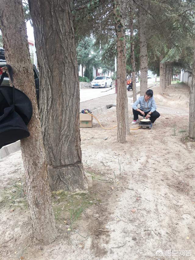 新疆百灵鸟论坛:新疆乡镇的公务员或者事业单位值不值得考？ 新疆棉花质量好