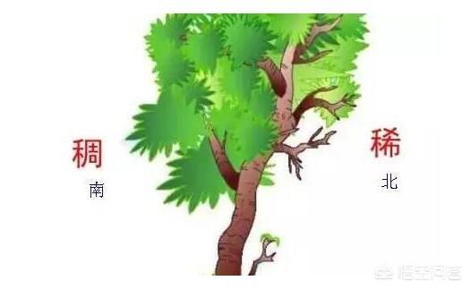 1e06f0003f71b612983f6