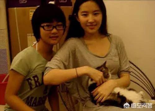 允儿整容前素颜惊悚:你认为卸了妆的女明星谁最漂亮？