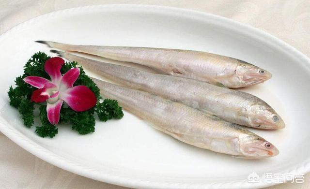 头条问答 - 请问刀鱼是海鱼吗?怎么做才更好吃?(8个回答)