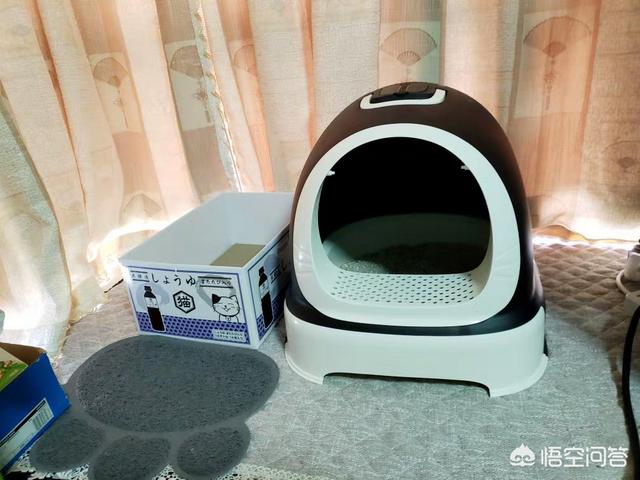 lovecat 植物猫砂:准备养一只猫，猫砂盆方面选择有哪些技巧？如何挑选？