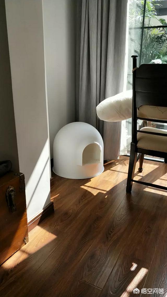 lovecat 植物猫砂:准备养一只猫，猫砂盆方面选择有哪些技巧？如何挑选？