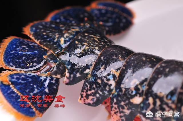 蓝龙虾的蓝色是怎么来的？蓝龙虾比一般的龙虾味道好么？