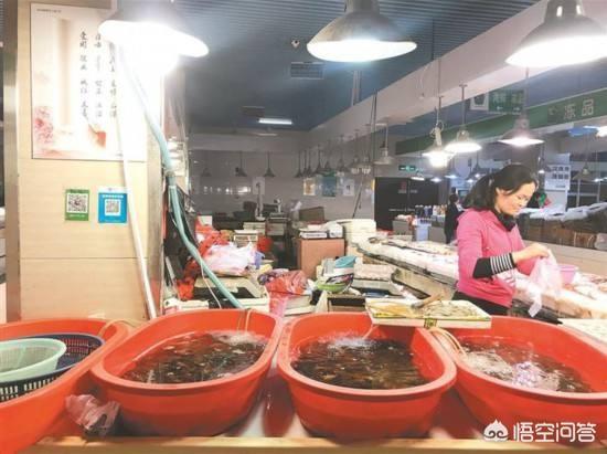 德国小龙虾泛滥:为什么网上说养殖户小龙虾泛滥，城里人却直呼吃不起？