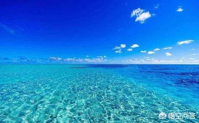 为什么有人说《面朝大海,春暖花开》可以读出一丝无奈凄凉的感觉呢？