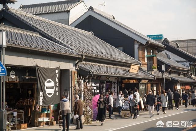 八公像在日本东京涩谷车站:东京周边有哪些小众旅行地？