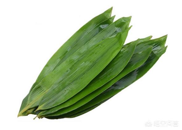干粽叶和湿粽叶 粽叶是农村什么植物的叶子？粽叶是干的好，还是湿的好呢？