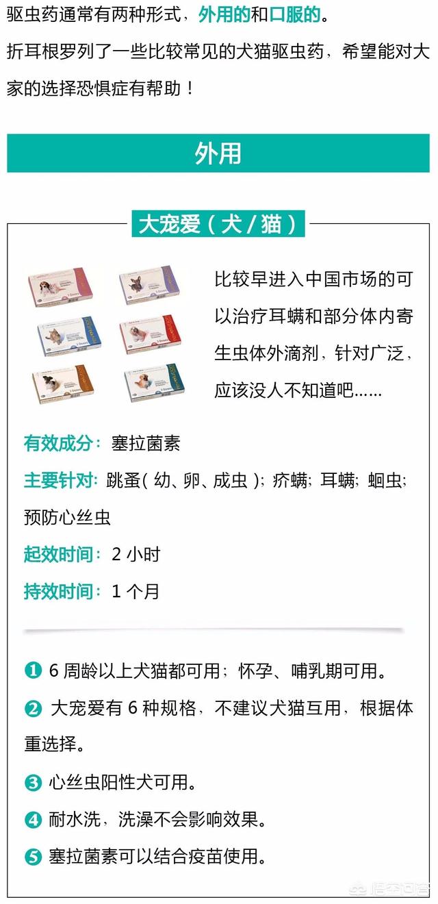 猫滴了驱虫药全身痒:虎斑猫全身痒猛抓，该怎么治？
