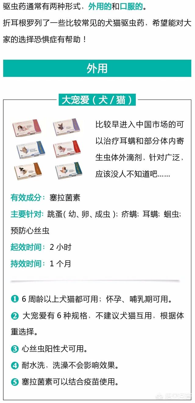 人舔了博来恩驱虫药:博来恩驱虫药使用方法 猫咪吃了驱虫药一定会排出虫子么？