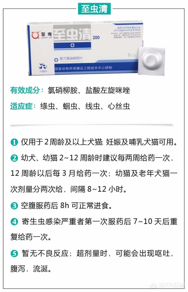 人舔了博来恩驱虫药:博来恩驱虫药使用方法 猫咪吃了驱虫药一定会排出虫子么？