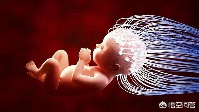 宝宝的血型决定智商吗，宝宝聪明是遗传问题，还是母亲孕期营养决定