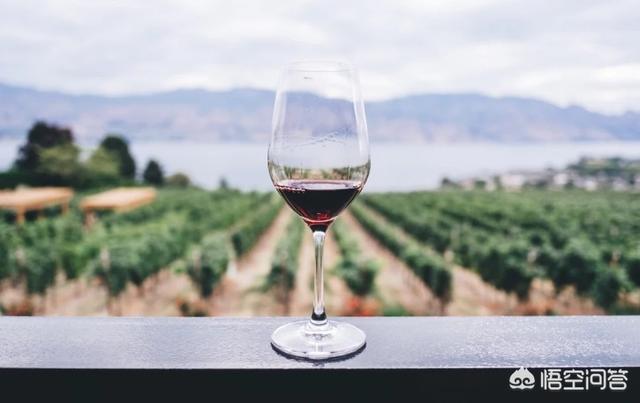 红酒杯图片生活照，葡萄酒杯为啥都是“高脚”的？