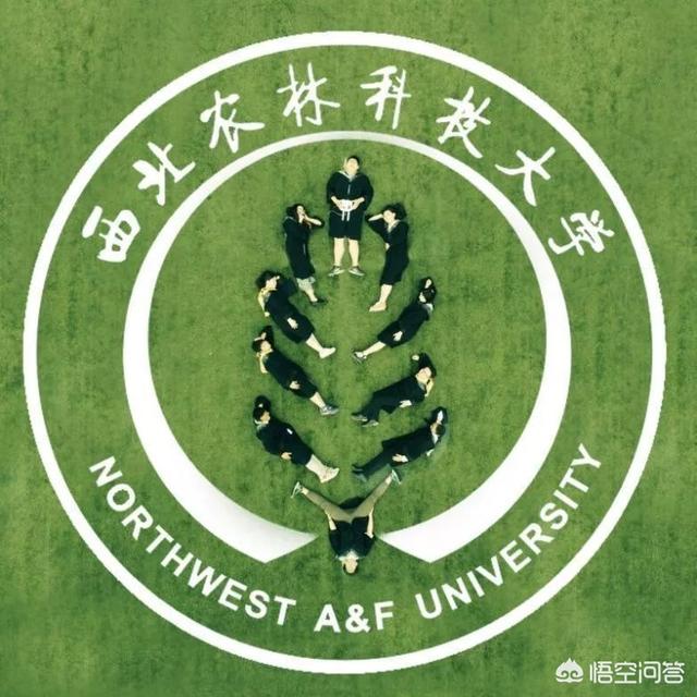 倪妮初中毕业照曝光:初中毕业，成绩不好，学一门什么技术比较好