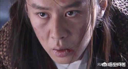 透明棺材:为什么那些拍摄野生动物的摄影师不会被攻击