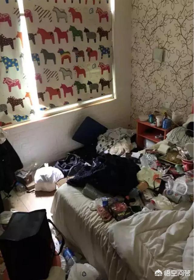 外面小飞虫多怎么回事,有的旅馆为啥有那么多小虫子？