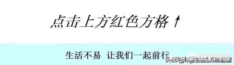 90后女生挤奶喂小狗图片:为什么有些女性不愿意母乳喂养？