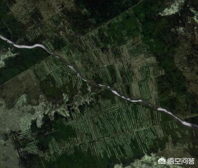 地球上还有未被人类发现的地方吗？