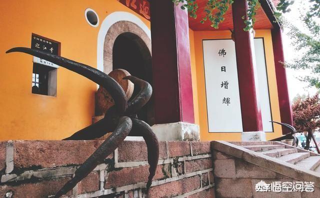 98年长江蛟龙现身，大蛇成蟒，大蟒成蚺，大蚺成蛟，大蛟成龙是真的吗