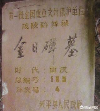 金日磾:知道杨彪与杨修的“舔犊之情”吗？