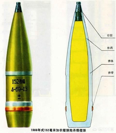 供应尼龙丝印宠物牵引带套装:有哪些是养狗过程中很实用的道具？