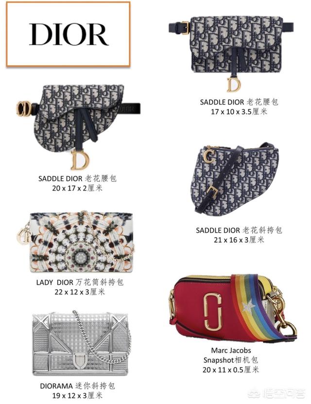 gucci狗年波士顿梗犬刺绣25:有哪些适合年轻女孩儿背的大牌包包款式值得入手？