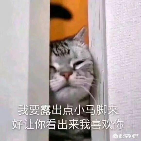 谈恋爱就像打<a href=https://maguai.com/list/48-0-0.html target=_blank class=infotextkey>游戏</a>，是吗为什么说它是<a href=https://maguai.com/list/48-0-0.html target=_blank class=infotextkey>游戏</a>