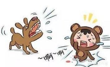 纽波利顿对比南非獒:你知道哪几类型的狗最容易咬人吗？