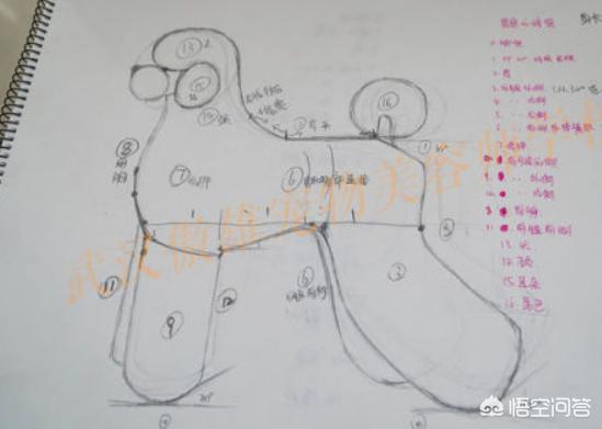 宠物美容师工资:当宠物美容师是什么体验？