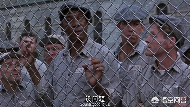 肖申克的救赎主演:电影《肖申克的救赎》为什么有那么高的分