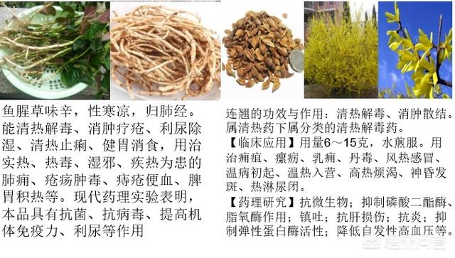 中兽药宠物药品:有没有兽医使用中医手段给动物看病？