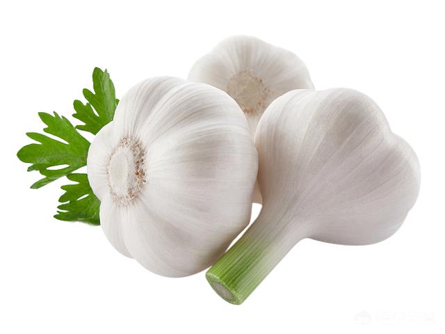 头条问答 幽门螺旋杆菌入侵 会出现哪4种现象 有哪2种方法清除 黎医生谈健康的回答 0赞