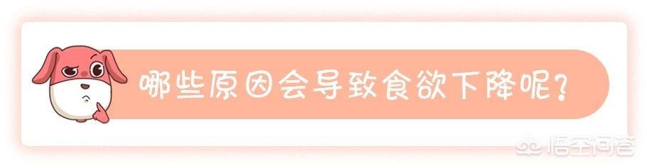 食欲减退是什么原因:食欲老是不好，是什么原因？