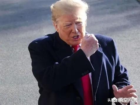 不是以色列沙皮狗的错:电视剧《想明白了再结婚》中有哪些经典的台词？ 以色列沙皮狗