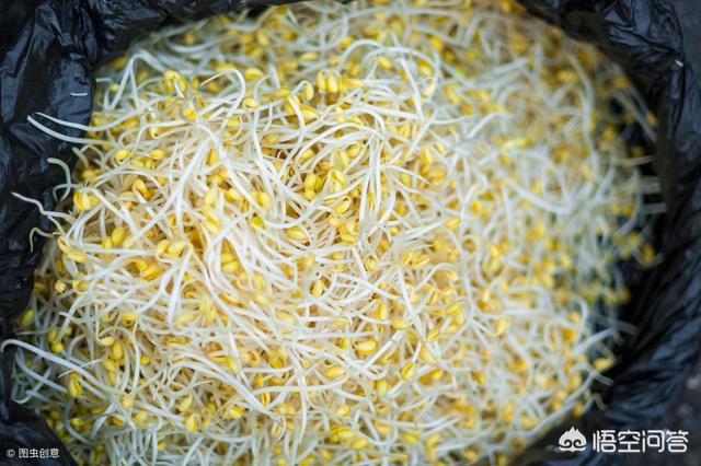 豆芽是一种绿色无污染的蔬菜,它是用什么方法培育出来的呢？
