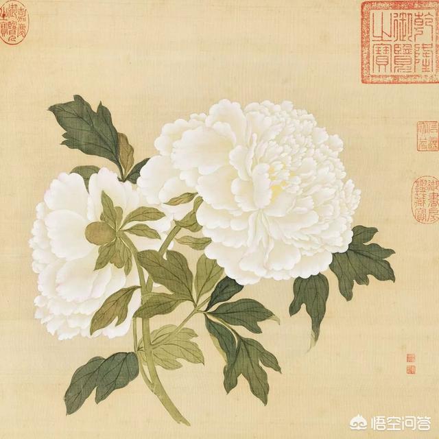 赞美牡丹花的好的诗句有哪些？