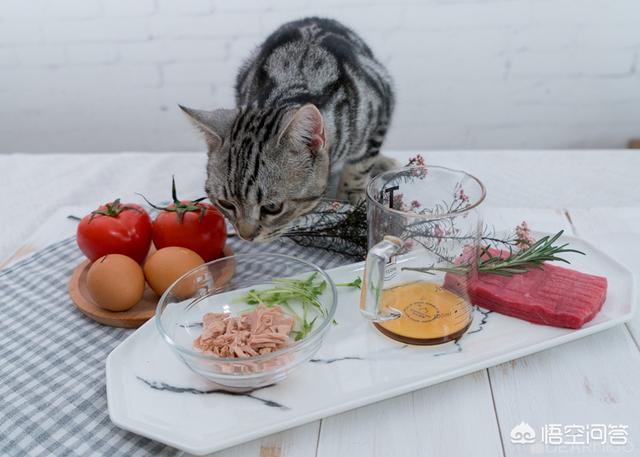 给猫的鸡胸肉怎么做:猫吃鸡胸肉可以发腮吗，猫猫鸡胸肉干烤箱做法是什么？